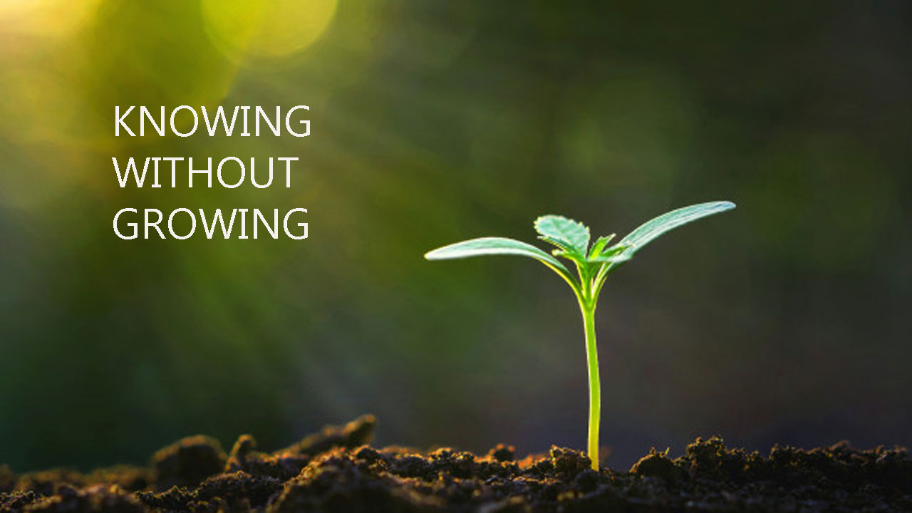 Знати, не зростаючи