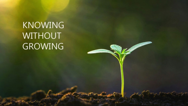 Знати, не зростаючи