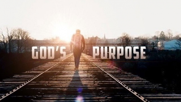 Божий задум