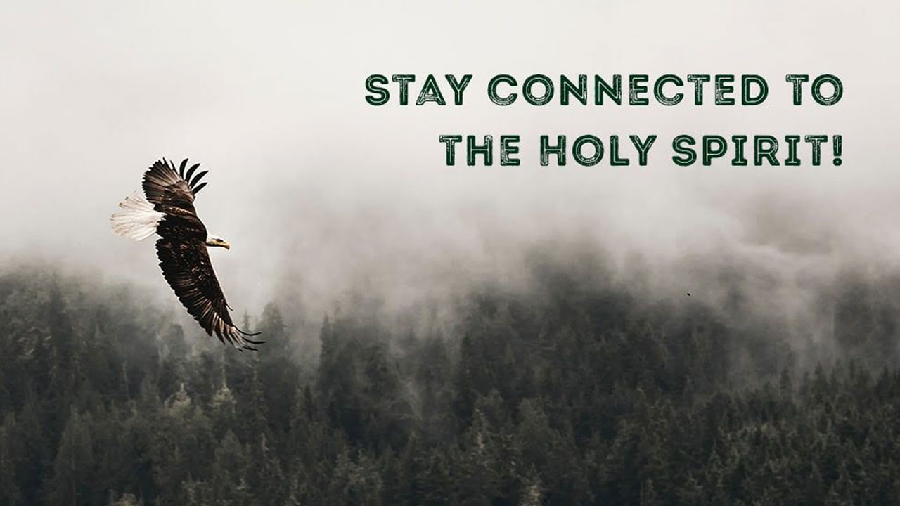 Під’єднані до Духа