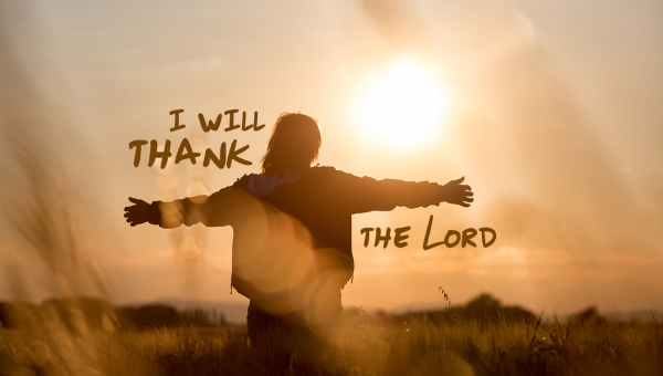 Боже твориво