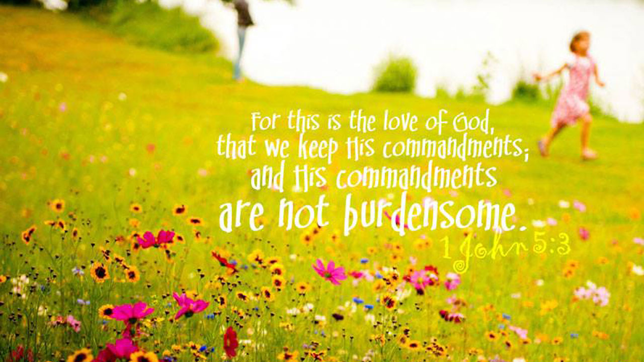 Продуктивність через відпочинок