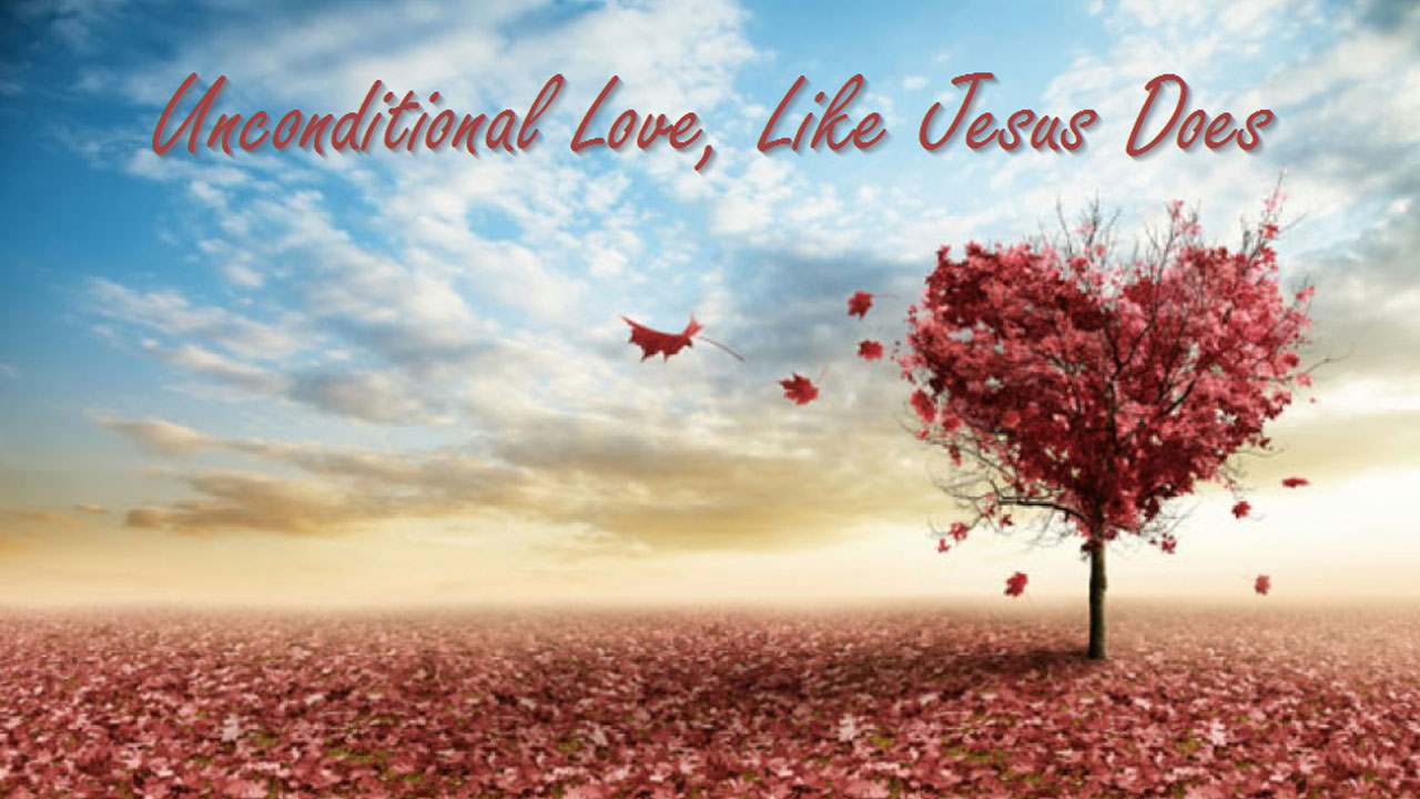 Любов без умов