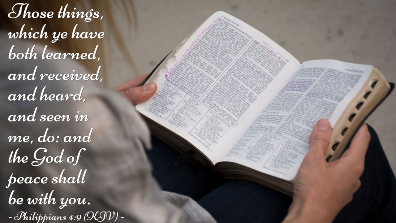 Зауваж моє серце