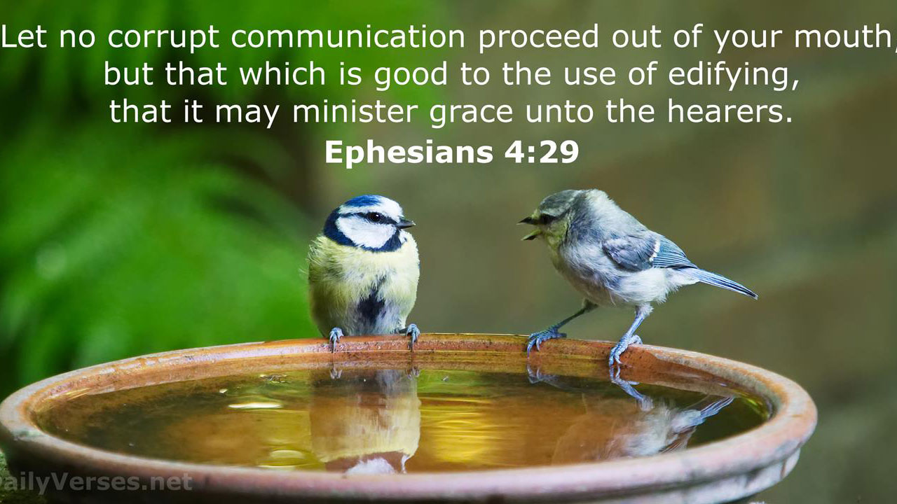 Збудовуючі та гнилі слова