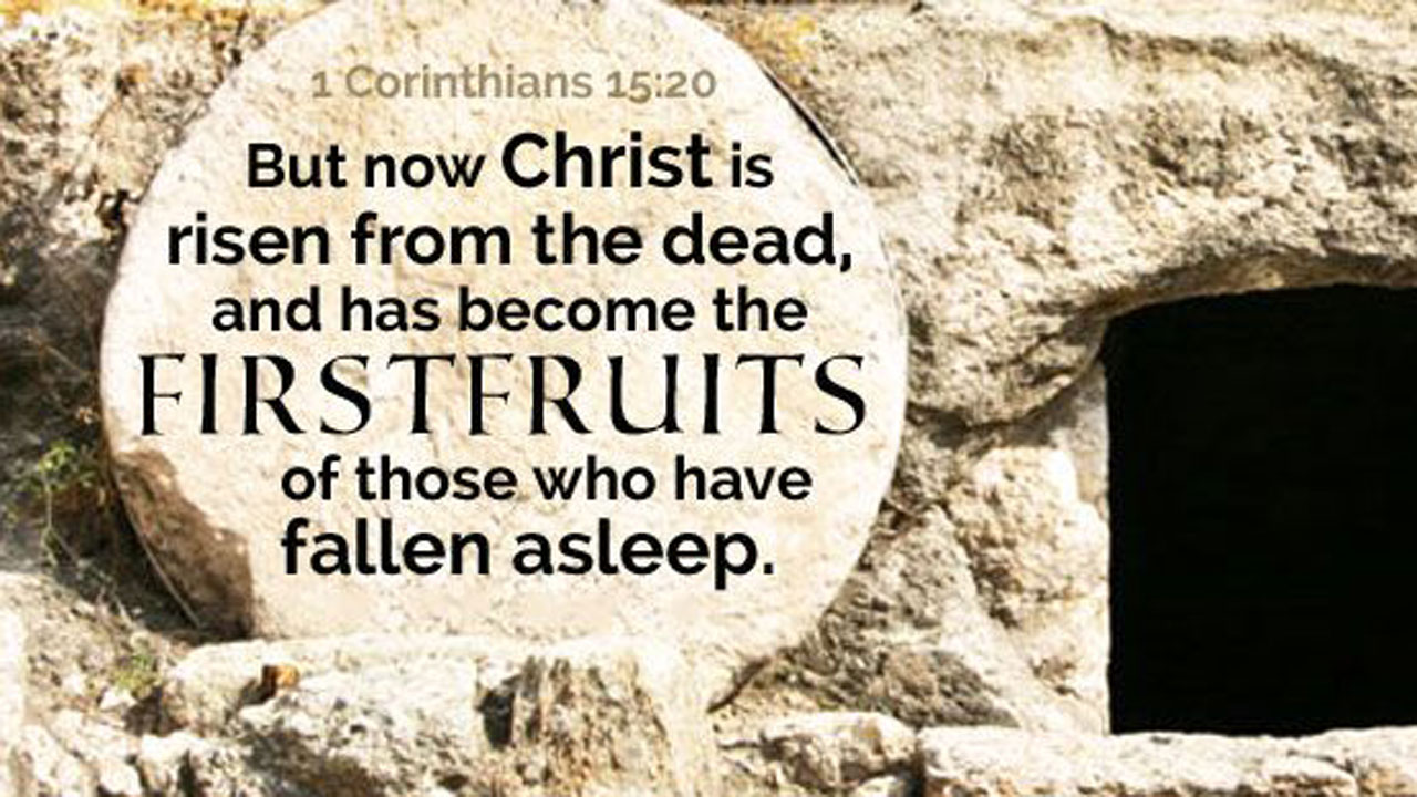 Божі первоплоди для нас