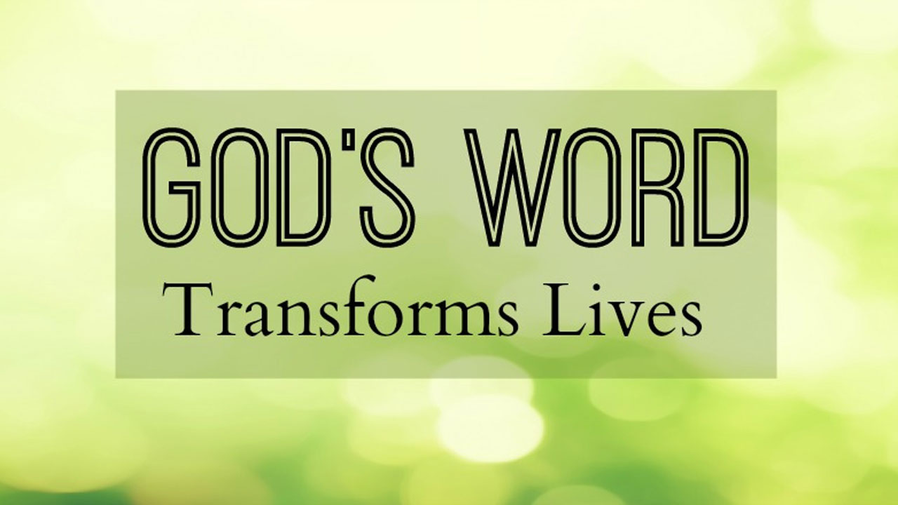 Трансформовані Словом