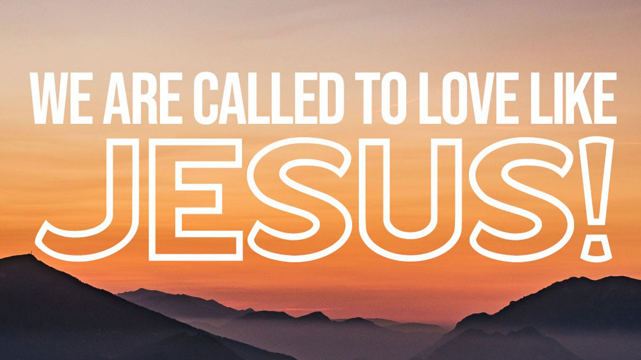 Навчаючись любити