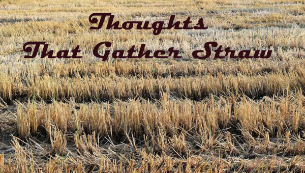 Думки, що збирають солому