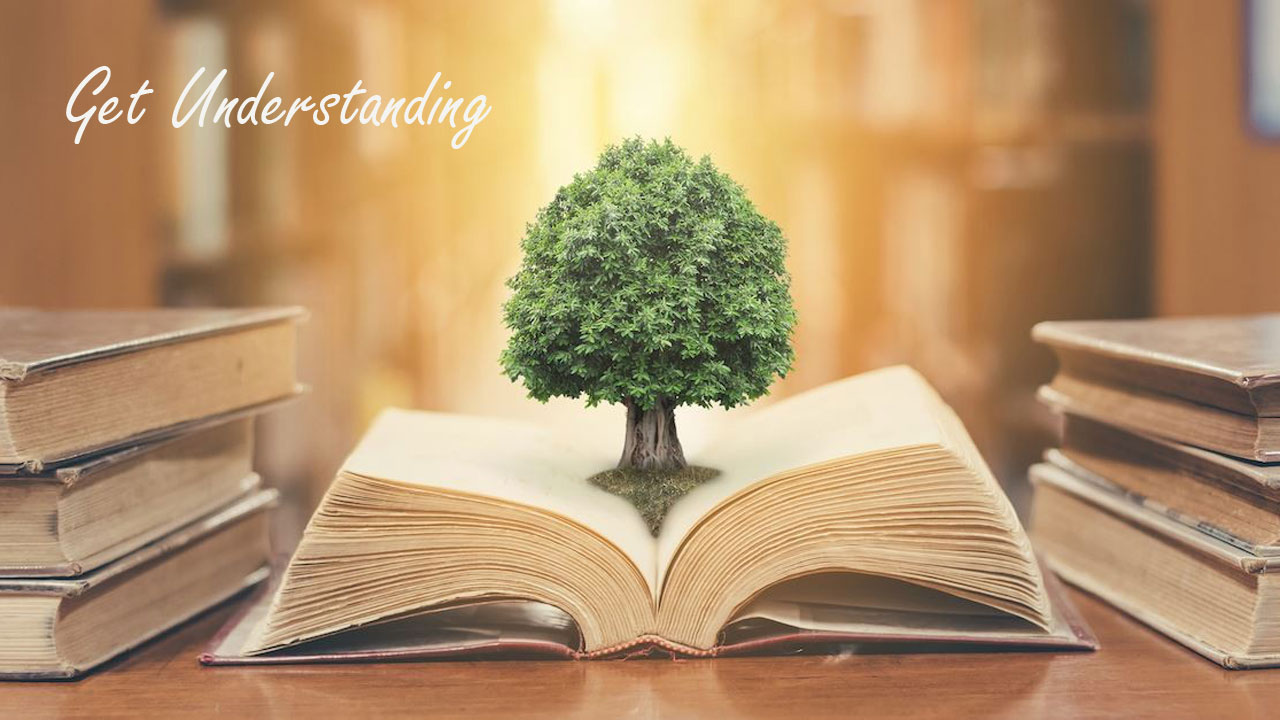 Отримай розуміння