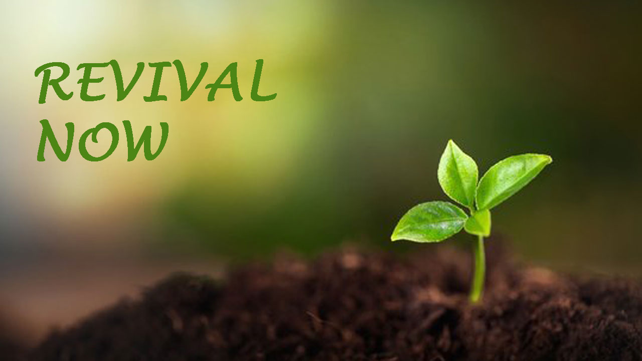 Відродження зараз