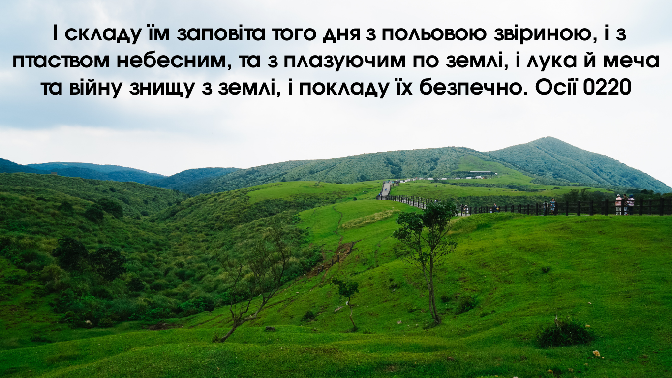 4/365 У СПОКІЙНОМУ ВІДПОЧИНКУ