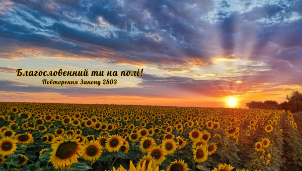 44/365 БЛАГОСЛОВЕННИЙ НА ПОЛІ