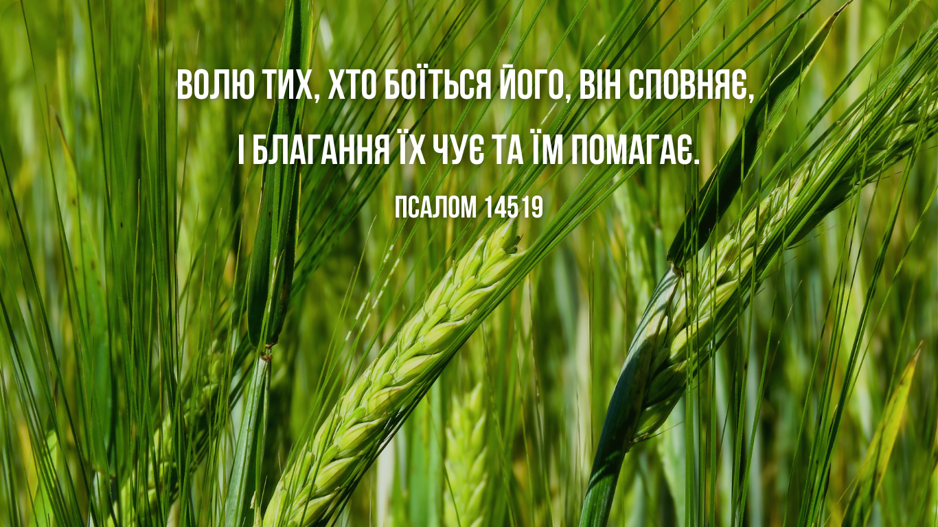 49/365 БОГ ВІДПОВІСТЬ