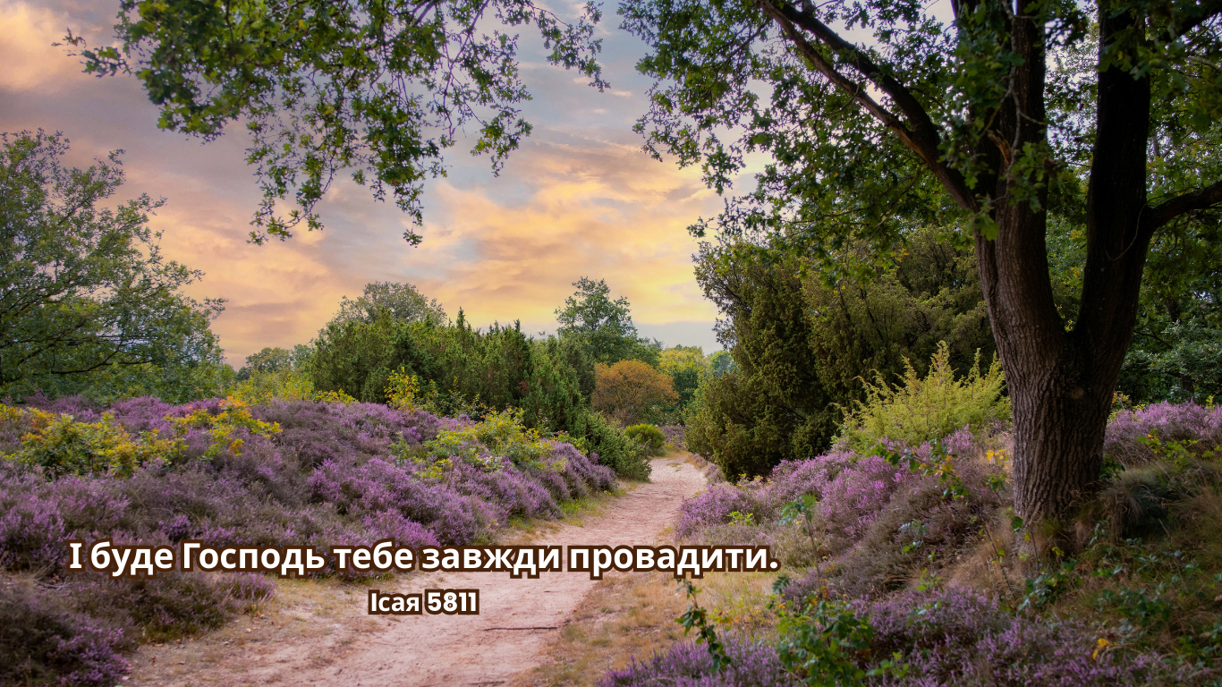 51/365 ПОСТІЙНЕ ПРОВАДЖЕННЯ