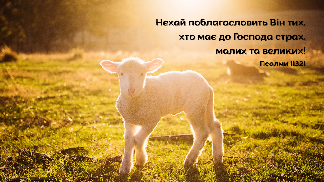 52/365 БЛАГОСЛОВІННЯ НА МАЛІСТЬ