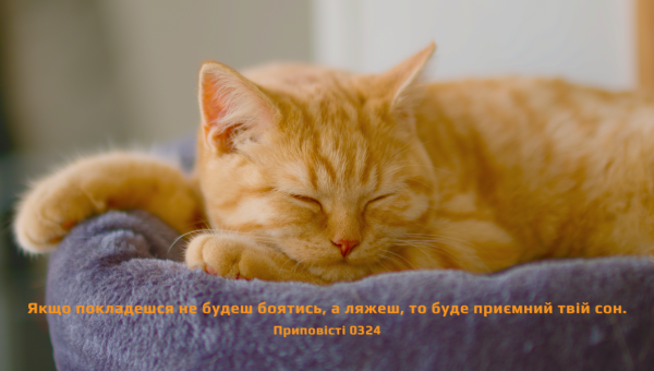 84/365 ОСВІЖАЮЧИЙ СОН