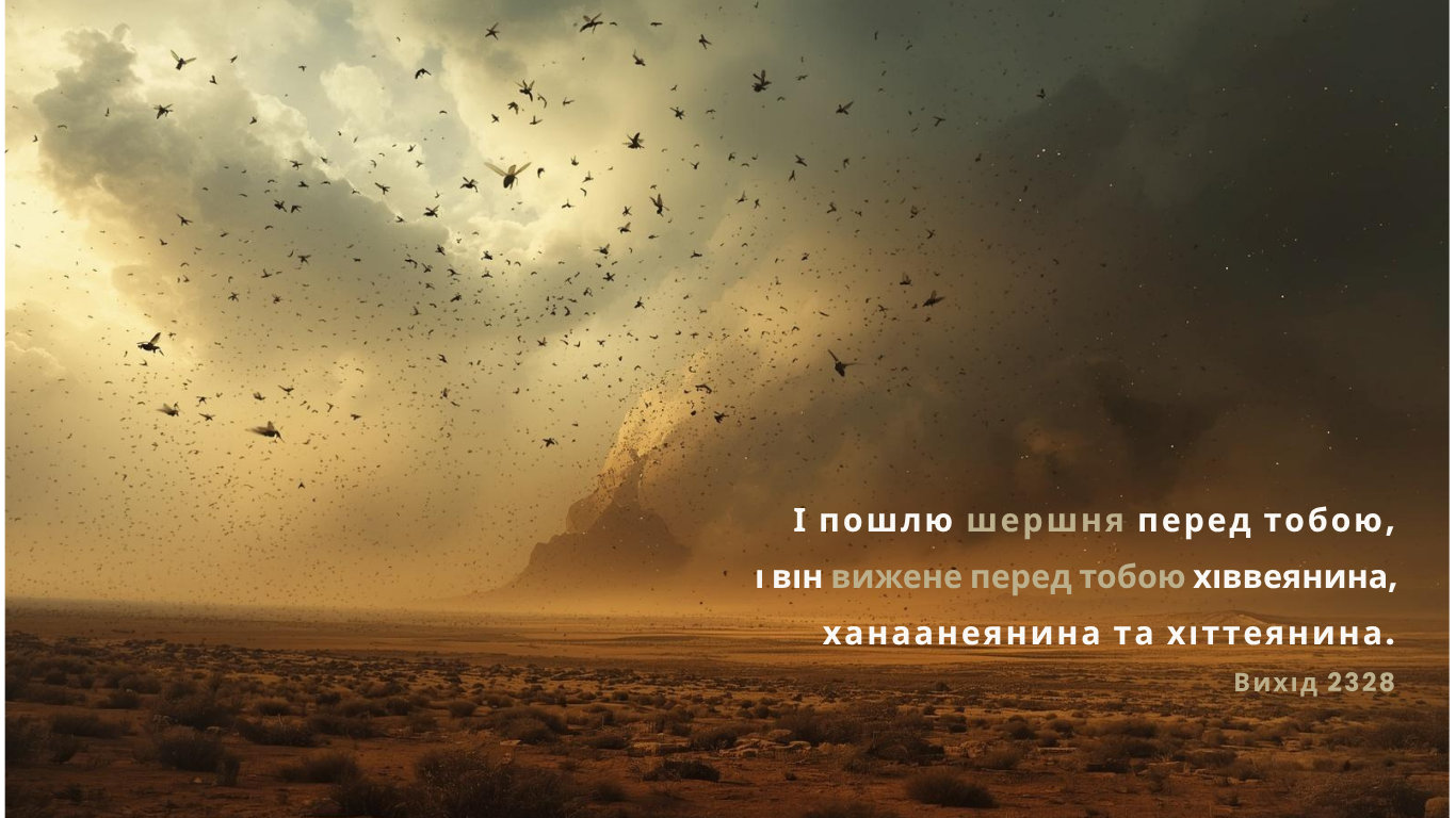 94/365 БОЖІ ШЕРШНІ