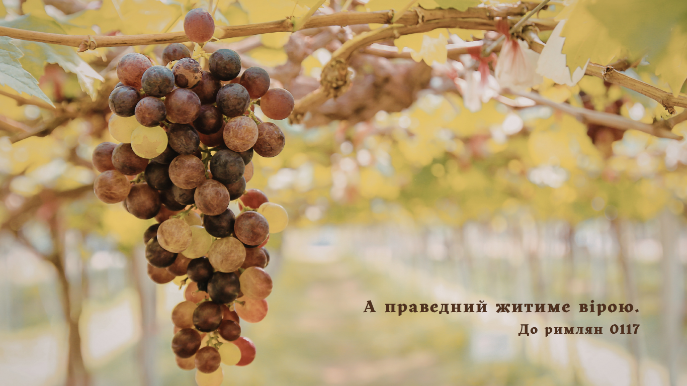 110/365 ВІРОЮ, А НЕ ПОЧУТТЯМИ