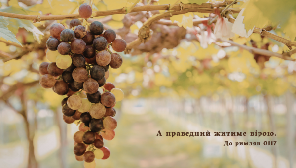 110/365 ВІРОЮ, А НЕ ПОЧУТТЯМИ