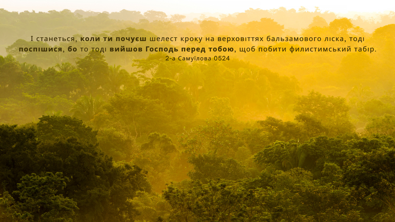 123/365 ПРИСЛУХАТИСЯ ДО СИГНАЛУ