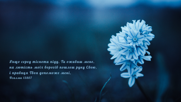 142/365 ПІСНЯ ВПЕВНЕНОСТІ